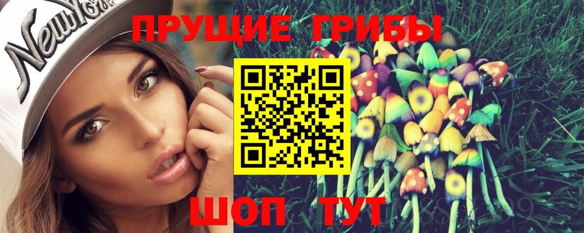 Псилоцибиновые грибы GOLDEN TEACHER  Псилоцибиновые грибы GOLDEN TEACHER  Аргун  Вход с VPN 