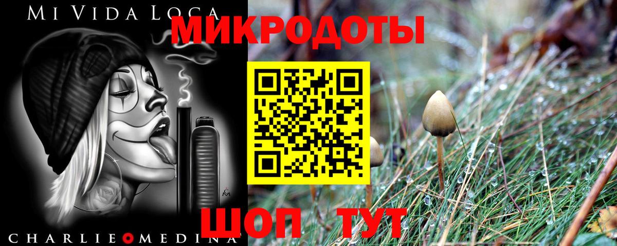 Галлюциногенные грибы Psilocybe Аргун