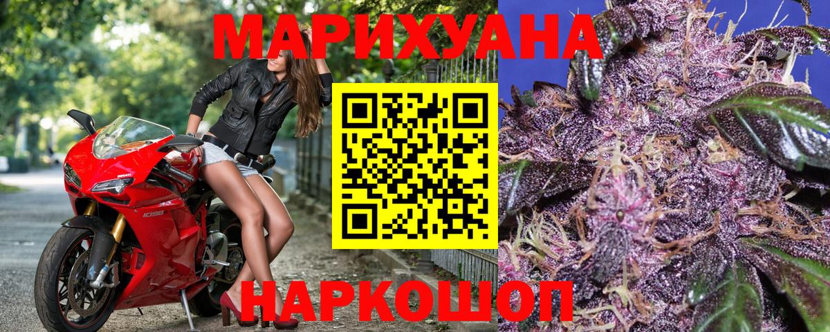 Бошки Шишки план Аргун